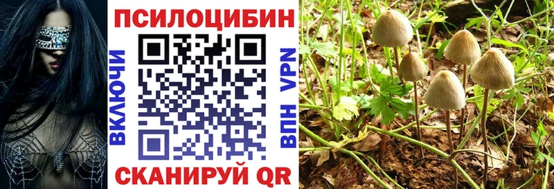 Псилоцибиновые грибы Psilocybe  Порхов 